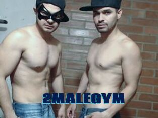 2MALEGYM