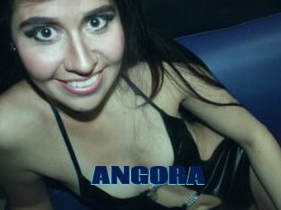 ANGORA