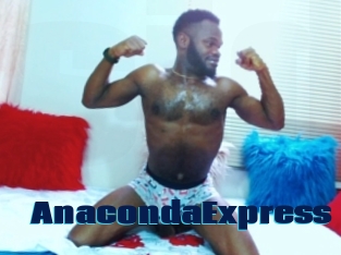 AnacondaExpress