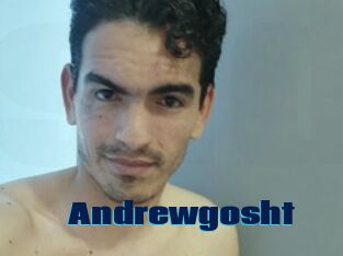 Andrewgosht