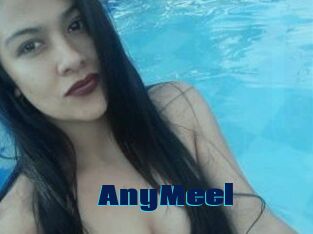 AnyMeel