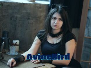 AviceBird