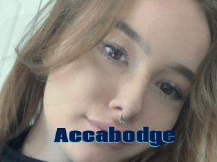 Accabodge