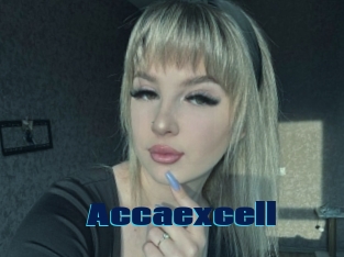 Accaexcell