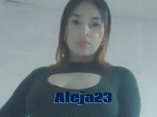 Aleja23