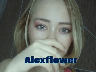 Alexflower