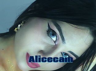 Alicecam