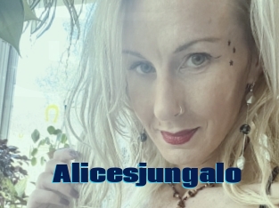 Alicesjungalo