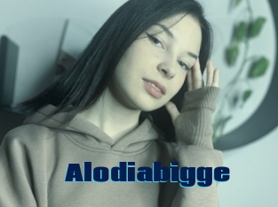 Alodiabigge
