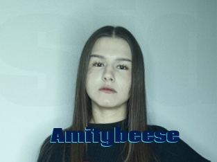 Amitybeese