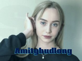 Amitybudlong