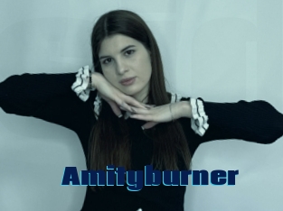 Amityburner