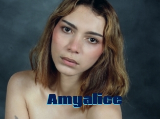 Amyalice