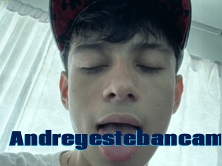 Andreyestebancam