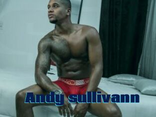 Andy_sullivann