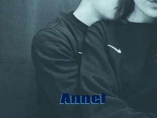 Annet