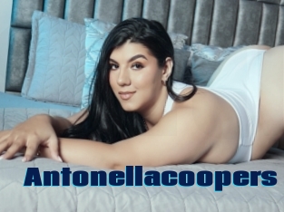 Antonellacoopers