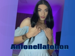 Antonellatobon