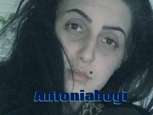 Antoniabogi