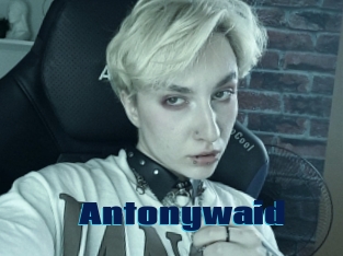 Antonywaid