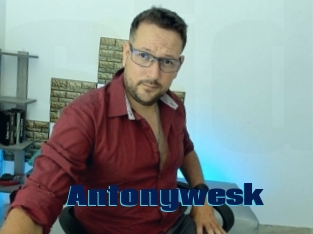 Antonywesk