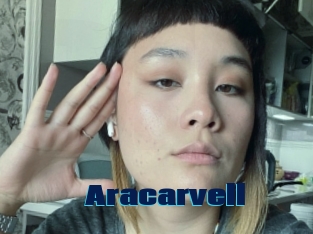 Aracarvell