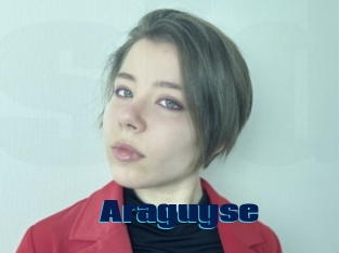 Araguyse