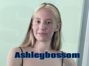 Ashleybossom