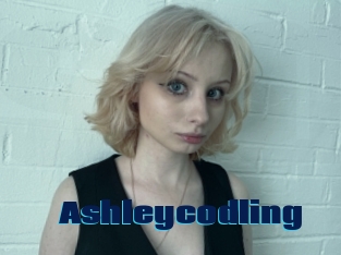 Ashleycodling