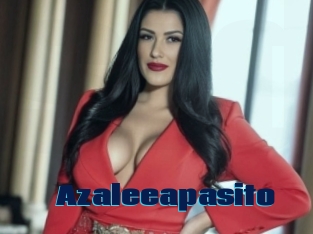 Azaleeapasito