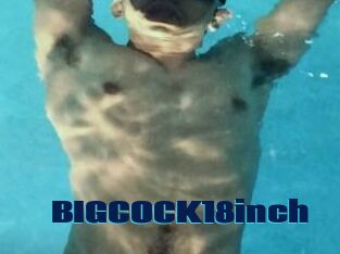 BIGCOCK18inch