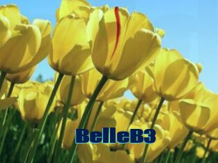 BelleB3