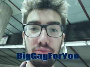 BigGayForYou