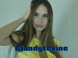 BrandyLevine