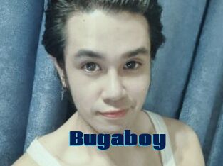 Bugaboy