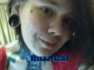 Buzz_Cat