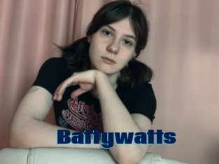 Battywatts