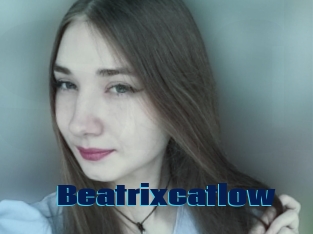 Beatrixcatlow