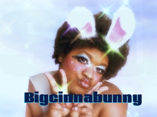 Bigcinnabunny