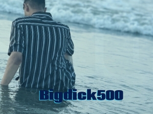 Bigdick500