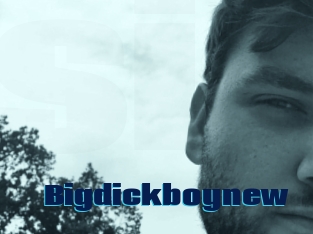 Bigdickboynew