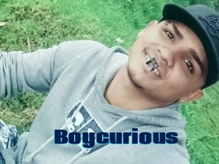 Boycurious