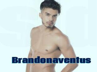 Brandonaventus