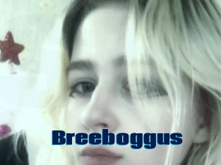 Breeboggus