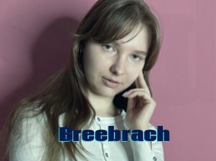 Breebrach