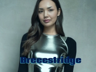 breeestridge Site de cul gratuit