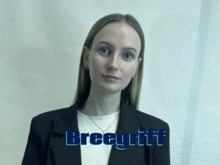 Breegriff