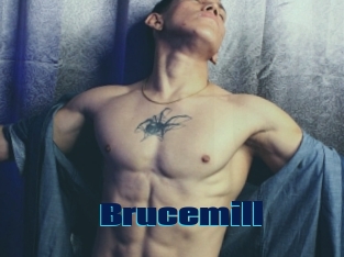 Brucemill