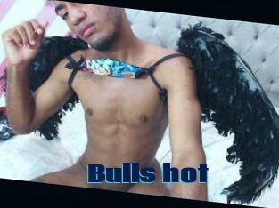 Bulls_hot