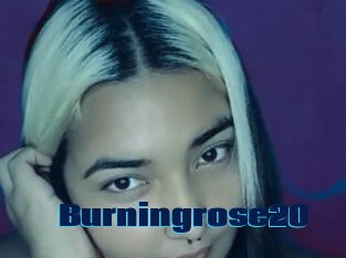 Burningrose20